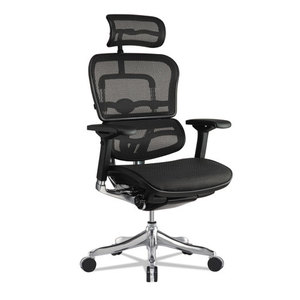 lot 90 image: Eurotech Ergohuman Elite High-back Chair, 18.1 To 21.6 Seat Height, Black
