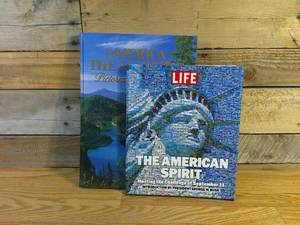 lot 249 image: Two (2) Coffee Table Books