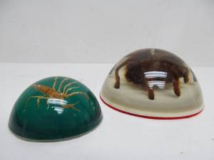 lot 36 image: Vintage Acrylic Encased Genuine Tarantula & Scorpion Paperweights