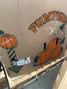lot 49 image: XLarge Wholesale Pallet - Insta crates, Toys, Other Misc Household Items - Customer Returns - Untested  - Fair Condition