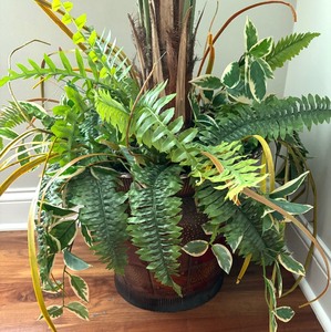 lot 29 image: Pretty Faux Palm Tree