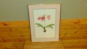 lot 75 image: Amaryllis Framed Print 20 x 27