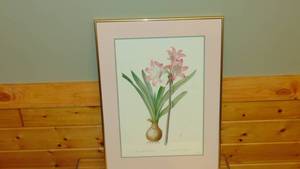 lot 78 image: Amaryllis Framed Print 20 x 27