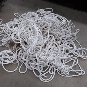 lot 41 image: ROPE