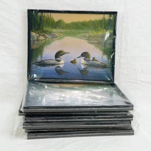 Lot of 7 North Country Loons by Sam Timm Framed and Sealed