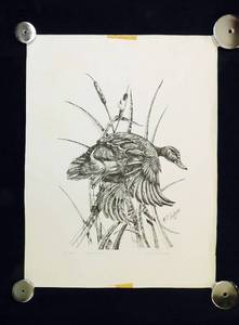 Vintage 1985 Mallard by MT Sullivan Signed and Numbered - Former Art Teacher at Humboldt High School