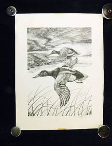 Vintage 1985 Canvasback by MT Sullivan Signed and Numbered - Former Art Teacher at Humboldt High School