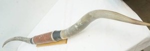 lot 10 image: Horns