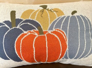 lot 192 image: Festive Accent Pillow by The FarmHouse Rachel Ashwell