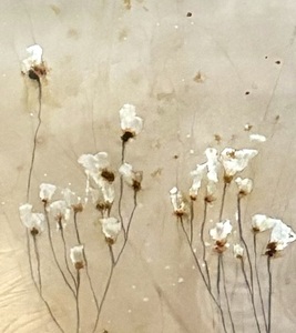lot 320 image: Fine Vanilla Blooms Framed Print