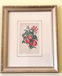 lot 336 image: Set of Three Vintage Floral Prints