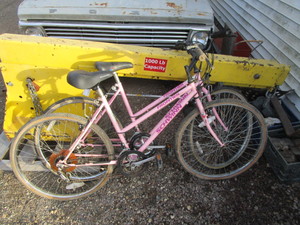 lot 160 image: (2) Schwinn Bicycles