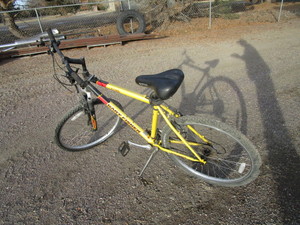 lot 161 image: Mamba Mountain Bike