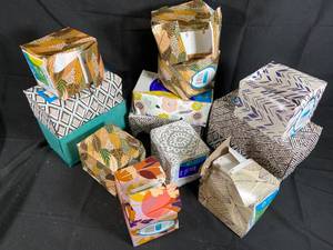 Simply Done Facial Tissue Assorted Variety Pack - Set of 14