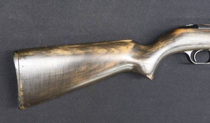 lot 10 image: 22 LR COAST TO COAST