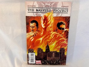 lot 134 image: The Marvel Project Limited Series 1 of 8, Marvel Super-Heroes Spring Special New in Packaging with Comic Storage Sheets Comic Books