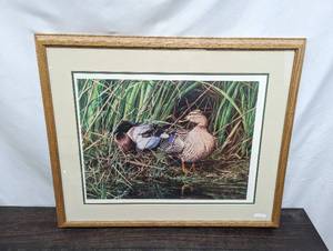 lot 152 image: Framed Duck Print By Alan Hunt