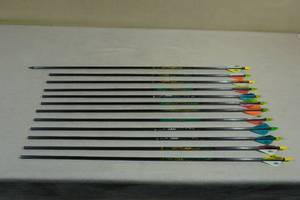 lot 61 image: Assorted Carbon Arrows