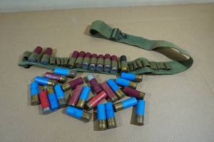 lot 174 image: Nylon Ammo Belt with Assorted 12 Gauge Shotshells