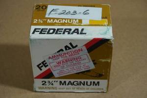 lot 175 image: 25 Federal 20 Gauge 2-34 Magnum 6 Shot Shotshells
