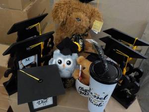 lot 6 image: Box of New Overstocks