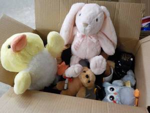 lot 33 image: Graduation Party Dcor and Stuffed Pets