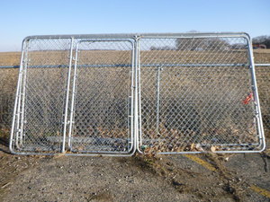 Chain Link Dog Kennel with Gate