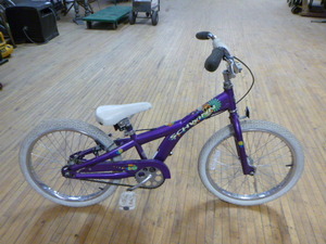 Schwinn Childs Bicycle