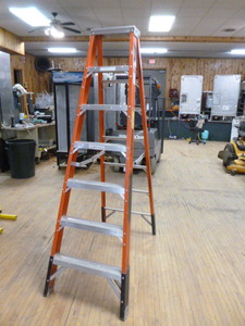 Werner 7 Ladder