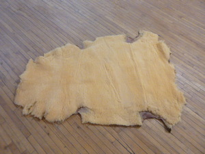 Sheared Sheep Skin