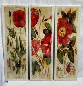lot 19 image: Rosa Gallica (The Gallic Rose) 3 Panel Art Print Lot (13 x 41 each)