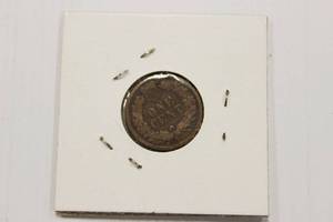 Nice 1880 Indian Head Penny