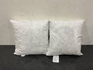 Set of 2 Throw Pillows