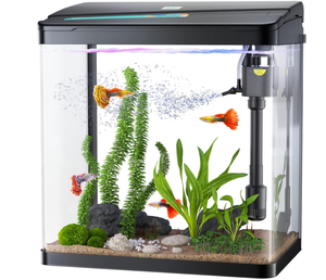 PONDON Fish Tank, 3 Gallon Glass Aquarium, Filter and Light with a Water Pump