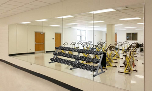 1 CrossROBBIN Wall Mounted Activity Mirror for Home Gym and Commercial Use
