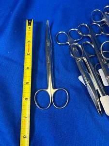 lot 32 image: 19 - Dissecting Scissors, Curved Tip, 6 12