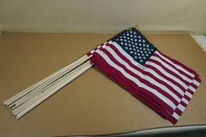 lot 262 image: 11 US Flags 12x18