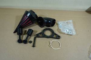 lot 303 image: Motorcycle Black Spike Air Cleaner Kit