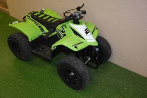 lot 1E image: Razor Dirt Quad 48V Ride On Toy - Doesnt Move