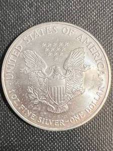 2007 AMERICAN SILVER EAGLE 1 TROY OZ .999 FINE SILVER