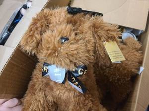 Box of Graduation themed stuffed animals and cups