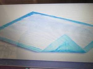Dri-Sorb UFS-300 Underpad 30 X 30 ...