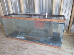 lot 213 image: (SHED) Large Fish Tank 48 L x 21 ...