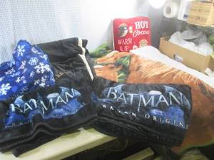 lot 281 image: (G-1) Assorted Blankets and Throw P...