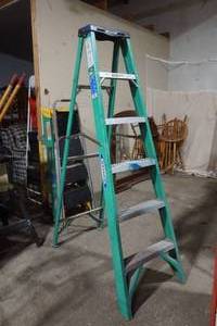 lot 39 image: Werner ladder
