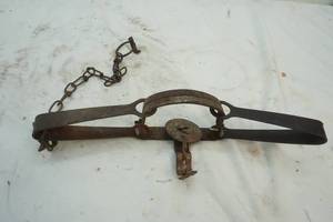 lot 174 image: Animal trap, Victor #2