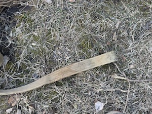 Tow Strap