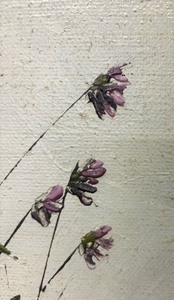 lot 35 image: Simple and Stunning Original Oil on Canvas Painting