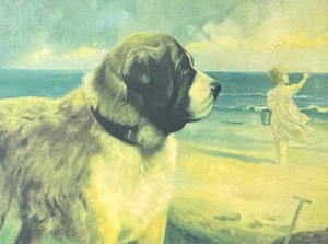 lot 144 image: Vintage Framed R. Atkinson Fox Print