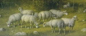 lot 257 image: Vintage Sheep Framed Print by Robert Atkinson Fox